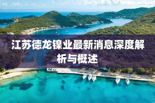 江蘇德龍鎳業最新消息深度解析與概述