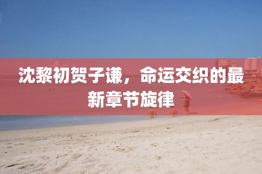 沈黎初賀子謙，命運(yùn)交織的最新章節(jié)旋律