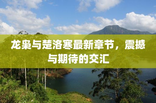 龍梟與楚洛寒最新章節(jié)，震撼與期待的交匯