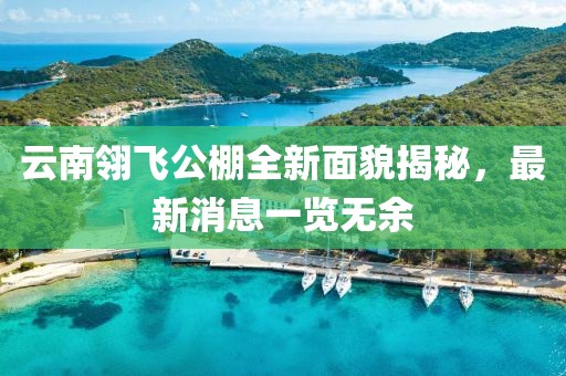 2025年3月 第448頁