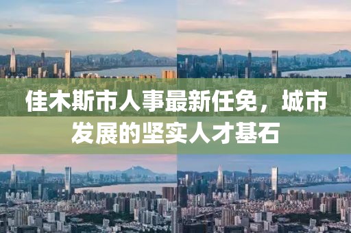 佳木斯市人事最新任免，城市發(fā)展的堅實人才基石
