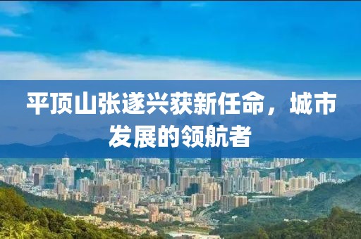 平頂山張遂興獲新任命，城市發展的領航者