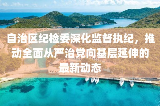 自治區紀檢委深化監督執紀，推動全面從嚴治黨向基層延伸的最新動態