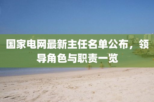國(guó)家電網(wǎng)最新主任名單公布，領(lǐng)導(dǎo)角色與職責(zé)一覽