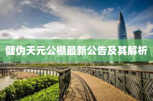 健偽天元公棚最新公告及其解析
