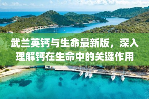 武蘭英鈣與生命最新版，深入理解鈣在生命中的關鍵作用