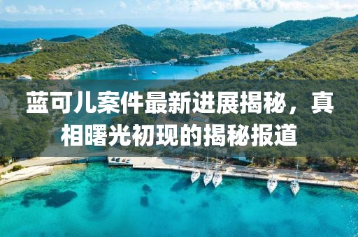 藍可兒案件最新進展揭秘，真相曙光初現的揭秘報道