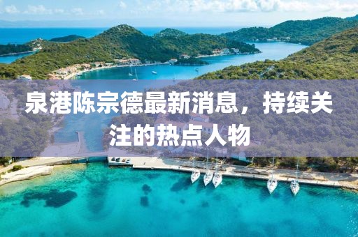 泉港陳宗德最新消息，持續(xù)關(guān)注的熱點(diǎn)人物