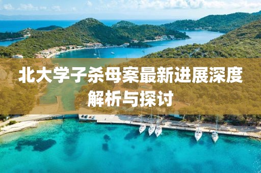 北大學子殺母案最新進展深度解析與探討