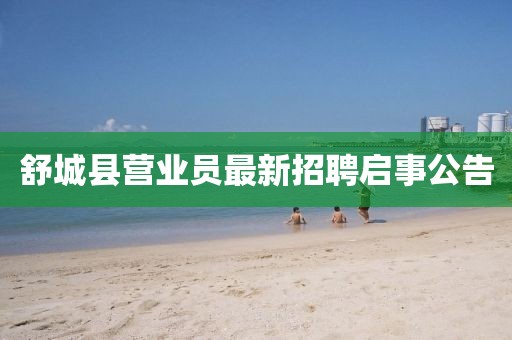 舒城縣營業(yè)員最新招聘啟事公告