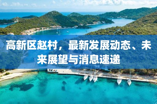 高新區趙村，最新發展動態、未來展望與消息速遞