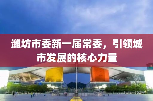 濰坊市委新一屆常委，引領城市發展的核心力量