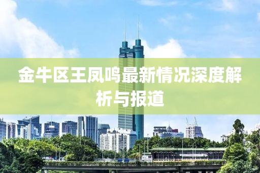 金牛區王鳳鳴最新情況深度解析與報道