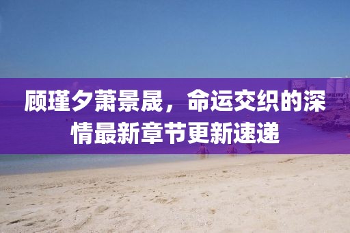 顧瑾夕蕭景晟，命運交織的深情最新章節更新速遞