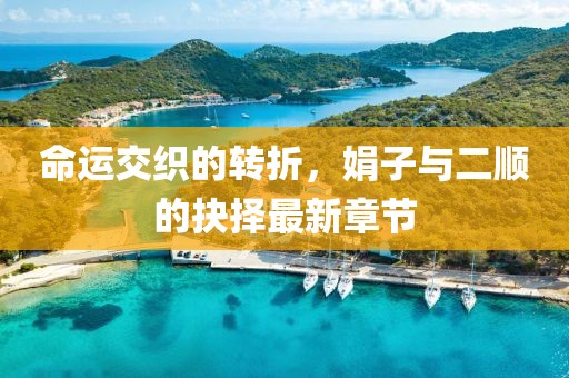 命運交織的轉折，娟子與二順的抉擇最新章節