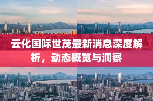 云化國際世茂最新消息深度解析，動態(tài)概覽與洞察