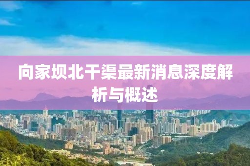向家壩北干渠最新消息深度解析與概述