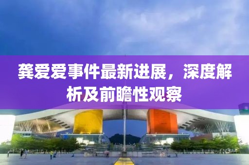 龔愛愛事件最新進展，深度解析及前瞻性觀察