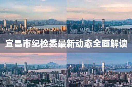 宜昌市紀檢委最新動態全面解讀
