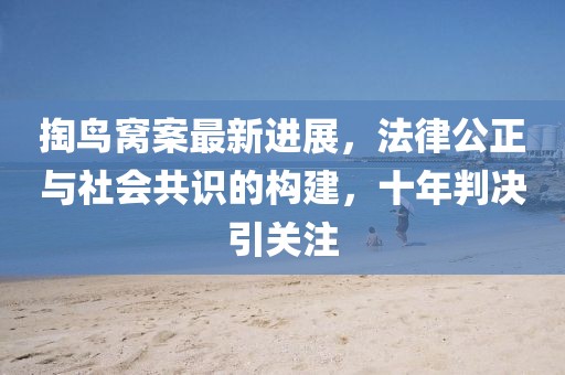 掏鳥窩案最新進展，法律公正與社會共識的構(gòu)建，十年判決引關(guān)注