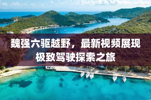魏強六驅(qū)越野，最新視頻展現(xiàn)極致駕駛探索之旅