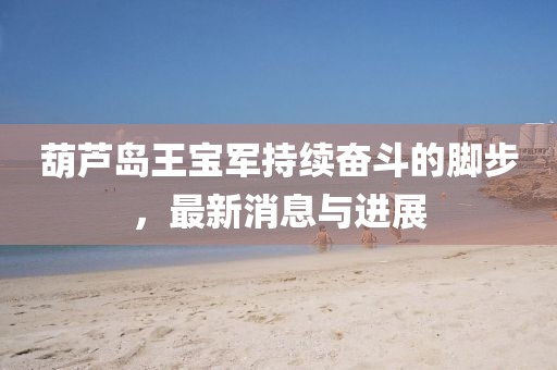 葫蘆島王寶軍持續(xù)奮斗的腳步，最新消息與進展