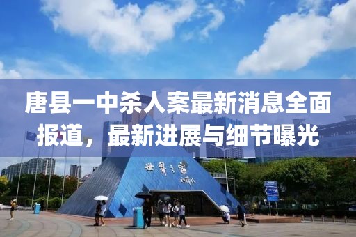 唐縣一中殺人案最新消息全面報道，最新進展與細節曝光