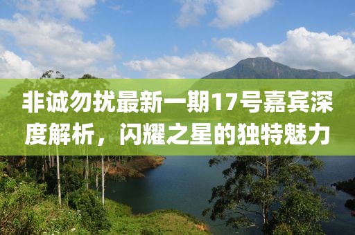 非誠勿擾最新一期17號(hào)嘉賓深度解析，閃耀之星的獨(dú)特魅力