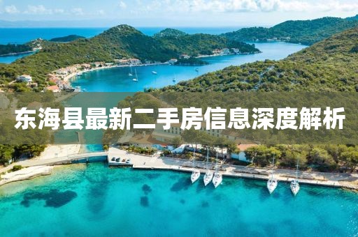 東海縣最新二手房信息深度解析