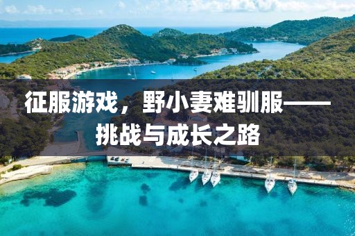 征服游戲，野小妻難馴服——挑戰與成長之路