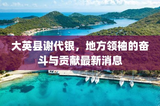 大英縣謝代銀，地方領(lǐng)袖的奮斗與貢獻(xiàn)最新消息