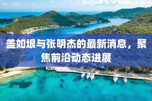 蓋如垠與張明杰的最新消息，聚焦前沿動態進展