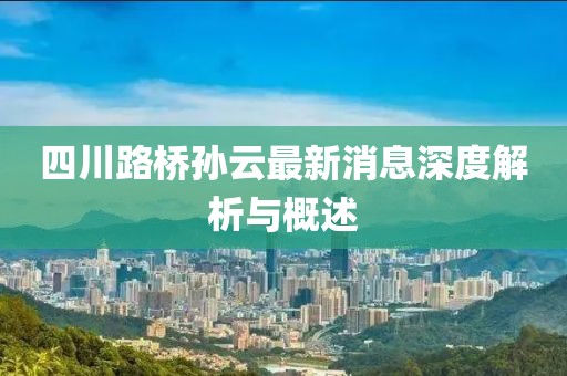 四川路橋孫云最新消息深度解析與概述