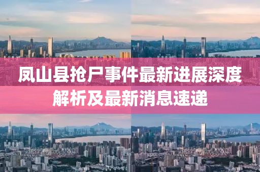 鳳山縣搶尸事件最新進展深度解析及最新消息速遞