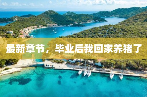 最新章節，畢業后我回家養豬了