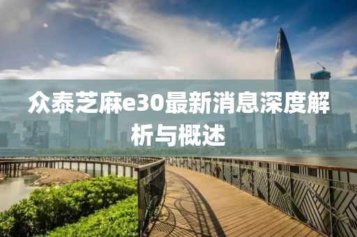 眾泰芝麻e30最新消息深度解析與概述