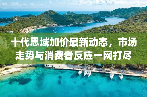 十代思域加價最新動態(tài)，市場走勢與消費者反應(yīng)一網(wǎng)打盡