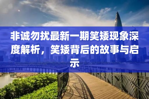 非誠勿擾最新一期笑矮現象深度解析，笑矮背后的故事與啟示