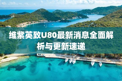 維紫英致U80最新消息全面解析與更新速遞