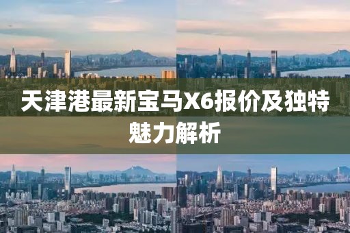 天津港最新寶馬X6報(bào)價(jià)及獨(dú)特魅力解析