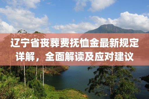 遼寧省喪葬費撫恤金最新規(guī)定詳解，全面解讀及應(yīng)對建議