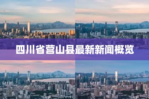 四川省營山縣最新新聞概覽