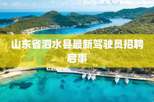 山東省泗水縣最新駕駛員招聘啟事