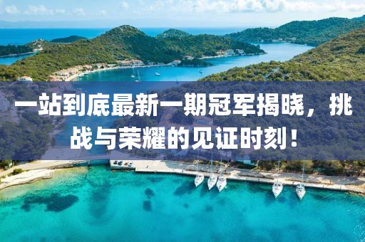 一站到底最新一期冠軍揭曉，挑戰(zhàn)與榮耀的見證時(shí)刻！