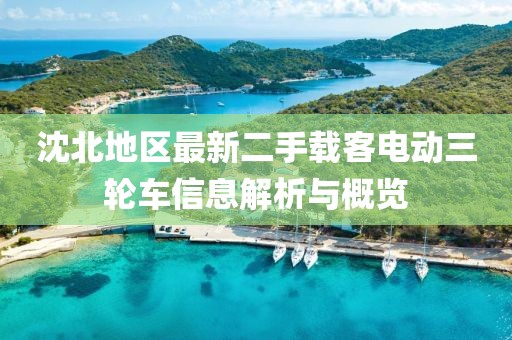 沈北地區最新二手載客電動三輪車信息解析與概覽