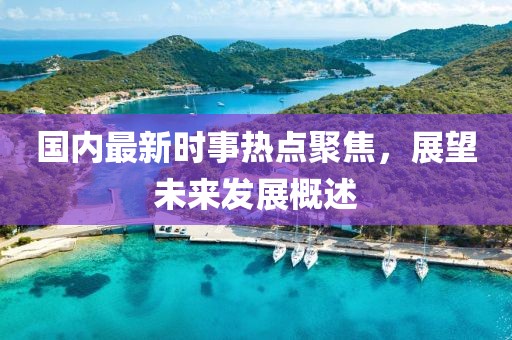 國內最新時事熱點聚焦，展望未來發展概述