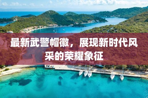 最新武警帽徽，展現新時代風采的榮耀象征