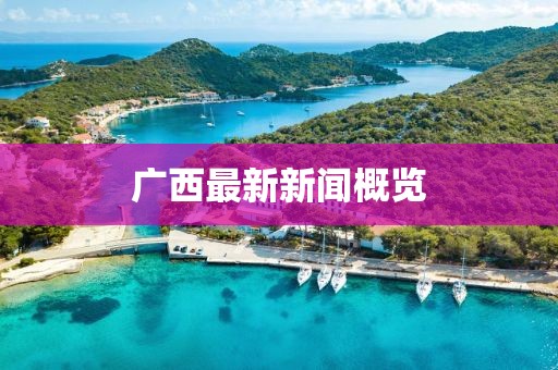廣西最新新聞概覽