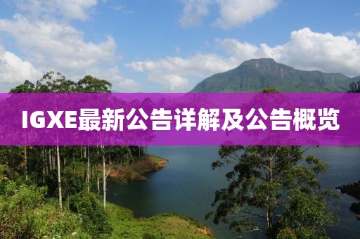 IGXE最新公告詳解及公告概覽