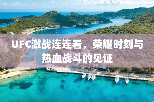 UFC激戰(zhàn)連連看，榮耀時(shí)刻與熱血戰(zhàn)斗的見(jiàn)證